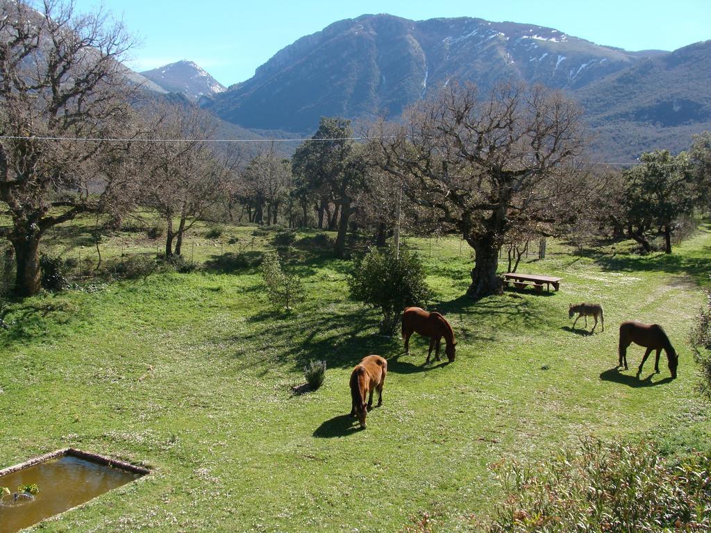 Fattoria Mongerrate Villa Isnello ภายนอก รูปภาพ